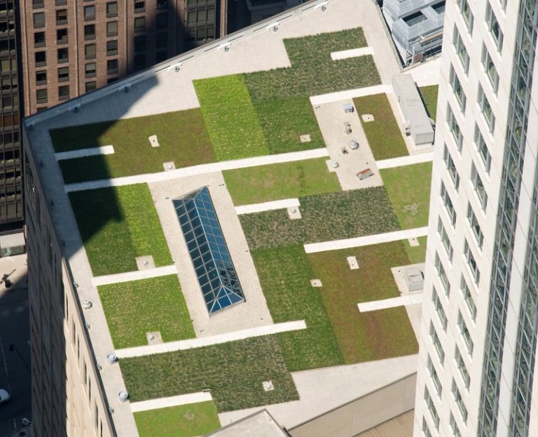 The ins and outs of installing a green roof